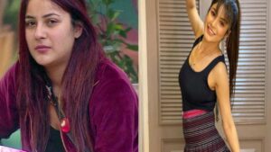 Shehnaaz Gill Weight Loss Tips