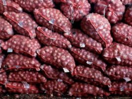 government-lifts-ban-on-onion-export-now-40-duty-will-be-imposed-on-export