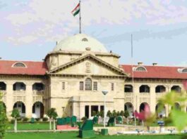 allahabad high court